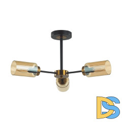 Люстра на штанге Lumion Dallin 5640/3C