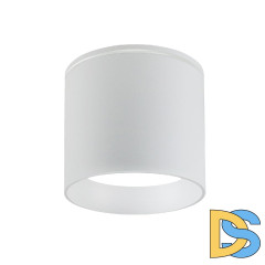 Уличный потолочный светильник Favourite Fantum 4662-1U