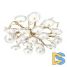 Потолочная люстра Loft IT Bloom 10352/1000C AB