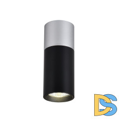 Накладной светильник Favourite Deepak 3072-1C