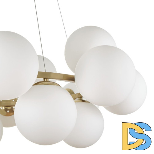 Подвесная люстра Myfar Aerton MR1943-16P