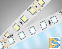 Светодиодная лента Ambrella Light LED Strip 24В 2835 10Вт/м 6500K 5м IP20 GS3103