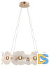 Подвесная люстра Rivoli Shannon 6135-101 Б0061947