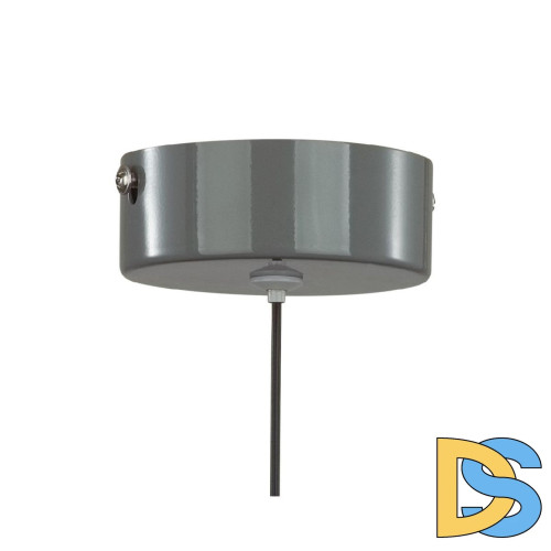 Подвесной светильник Lumion Globe 6569/6L