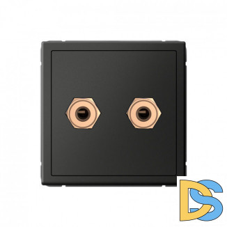 Акустическая Розетка двойная, Schneider Electric Art Gallery, цвет Базальт