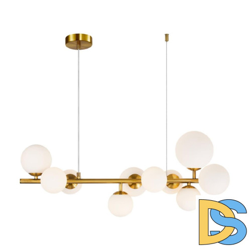 Подвесная люстра Aployt Letizia APL.314.03.10