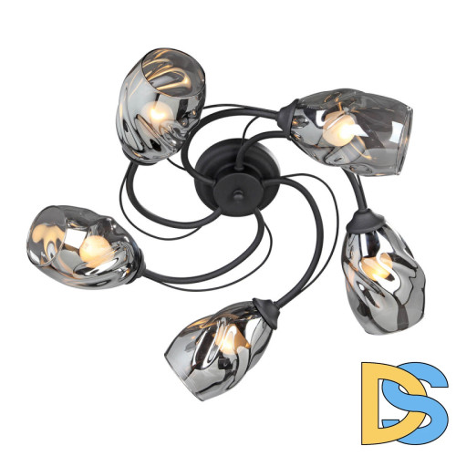 Потолочная люстра Vitaluce V4937-1/5PL