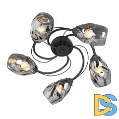 Потолочная люстра Vitaluce V4937-1/5PL