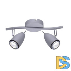 Спот Arte Lamp Regista A1966AP-2GY