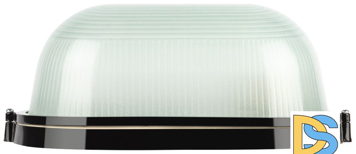 Настенно-потолочный светильник Эра НБП 04-100-001 черный Б0063863