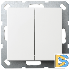Выключатель двухклавишный Jasmart с накладкой 10A 250V белый глянцевый G3023W