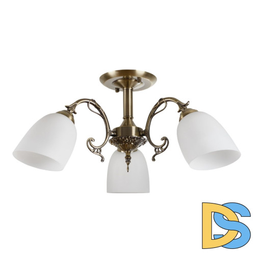 Люстра на штанге Myfar Biene MR1522-3C