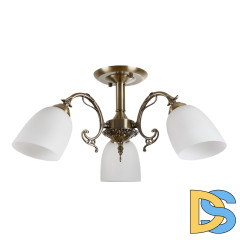 Люстра на штанге Myfar Biene MR1522-3C