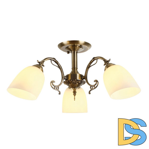 Люстра на штанге Myfar Biene MR1522-3C