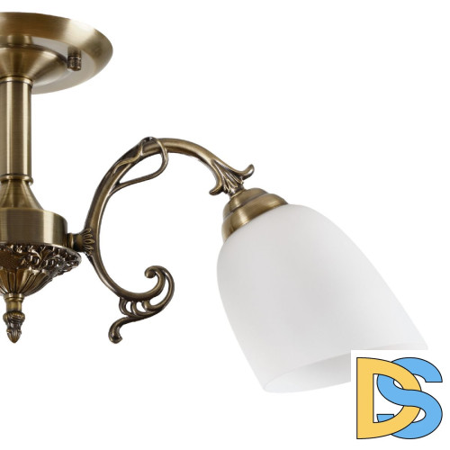 Люстра на штанге Myfar Biene MR1522-3C