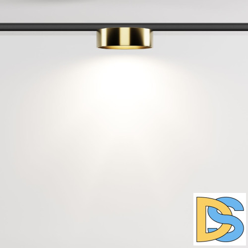 Трековый магнитный светильник Maytoni Zon TR189-1-12W4K-BBS