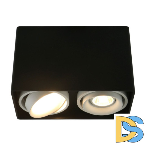 Потолочный светильник Arte Lamp A5655PL-2BK