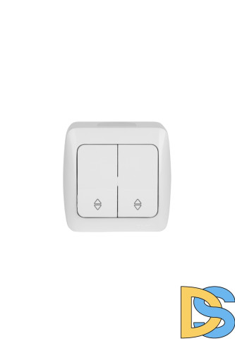 Переключатель двухклавишный проходной ELBI Alsu 504-010200-211