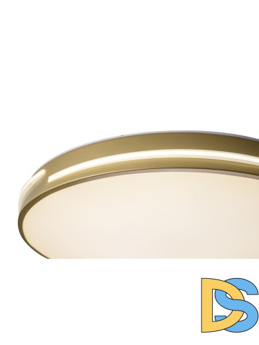 Потолочный светильник Zortes Gabby ZRS.90610.50