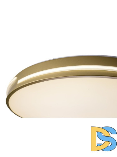 Потолочный светильник Zortes Gabby ZRS.90610.50