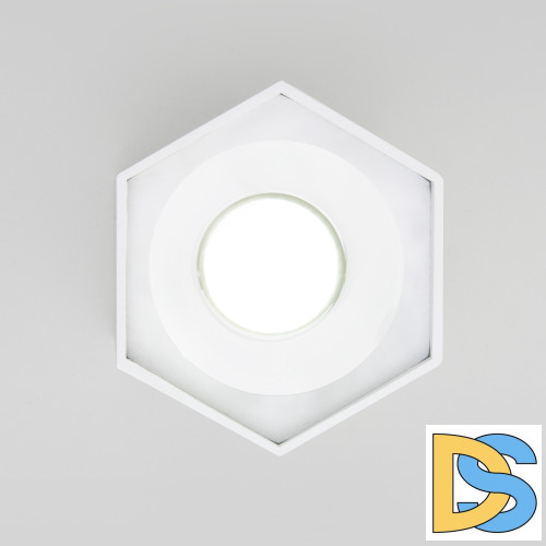 Накладной светодиодный светильник Elektrostandard 25037/LED 4690389176500