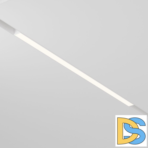 Трековый магнитный светильник Maytoni Basis TR030-2-24W3K-W