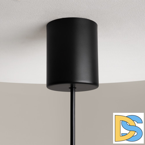 Подвесной светильник Maytoni The Sixth Sense Z020PL-L6B3K