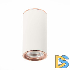 Потолочный светильник ST Luce Chomus ST111.527.01