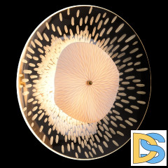 Настенный светильник Crystal Lux CONTESSA AP2.1