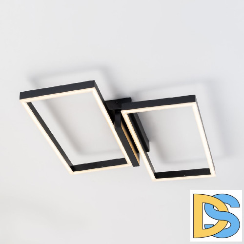 Потолочный светильник Escada Scales 10209/2LED Black