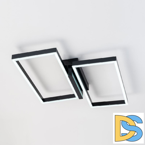 Потолочный светильник Escada Scales 10209/2LED Black