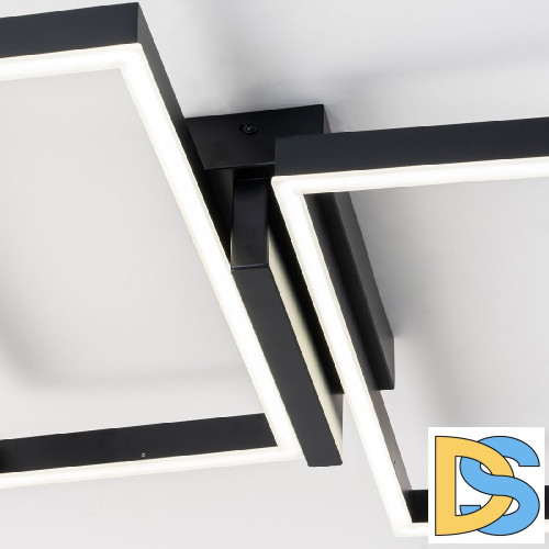 Потолочный светильник Escada Scales 10209/2LED Black