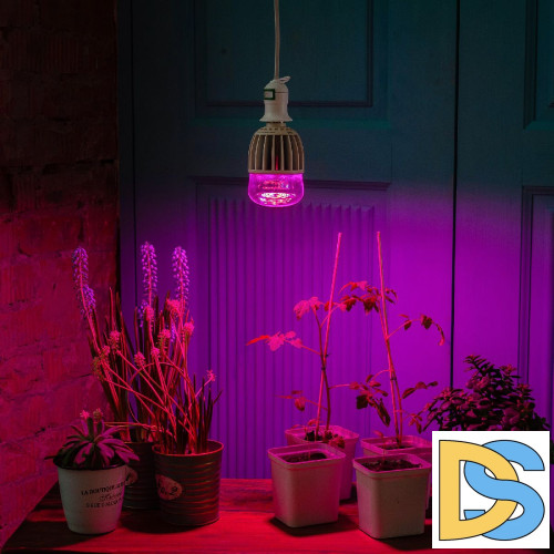 Лампа светодиодная для растений (11098) Uniel E27 20W прозрачная LED-M80-20W/SP/E27/CL ALS55WH