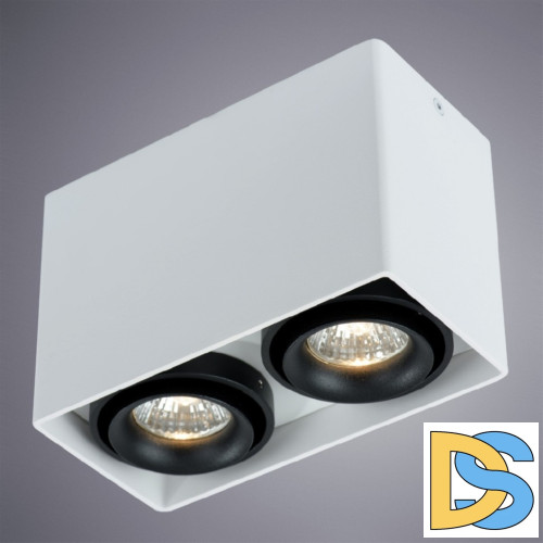 Потолочный светильник Arte Lamp A5655PL-2WH