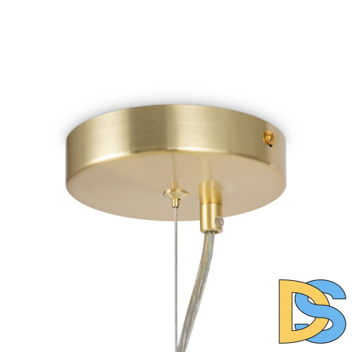 Подвесная люстра Maytoni Dallas MOD545PL-24BS