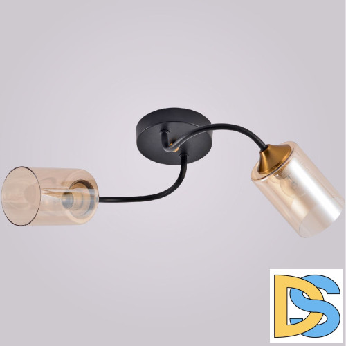 Потолочный светильник Reluce 01608-0.3-02 BK+BRASS