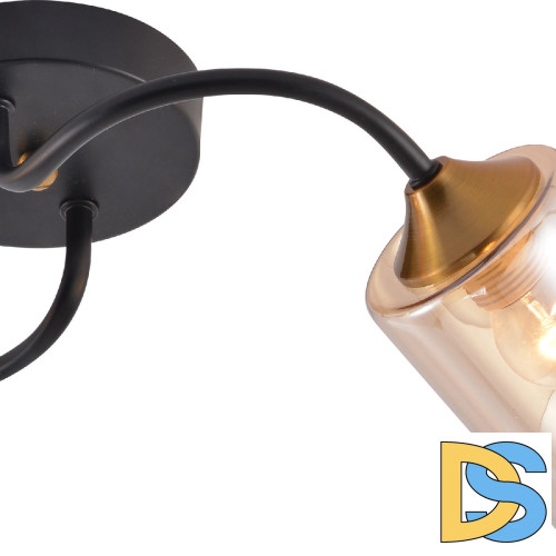 Потолочный светильник Reluce 01608-0.3-02 BK+BRASS