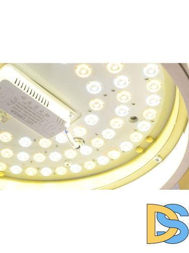 Потолочный светильник Zortes Gerda ZRS.1097.40