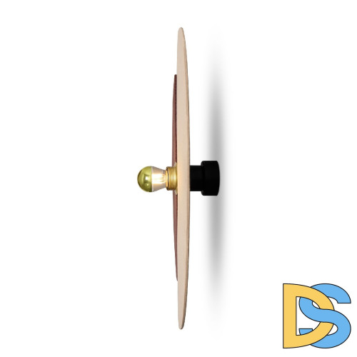 Настенный светильник Freya Carry FR5487WL-01G1