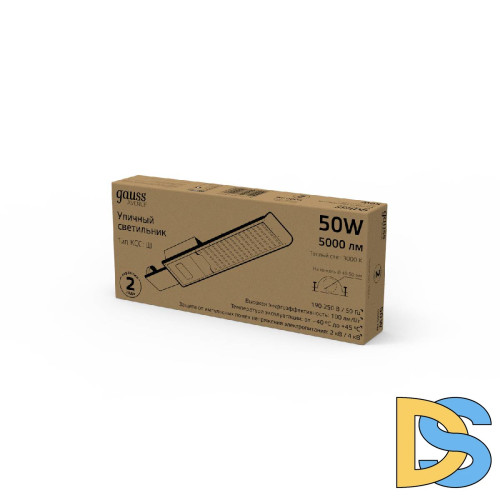 Уличный консольный светильник Gauss Avenue 629534150