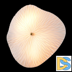 Настенный светильник Crystal Lux CONTESSA AP2.2