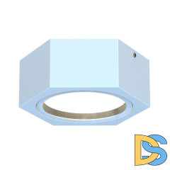 Уличный потолочный светильник Favourite Fantum 4665-1U