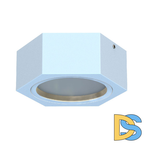 Уличный потолочный светильник Favourite Fantum 4665-1U