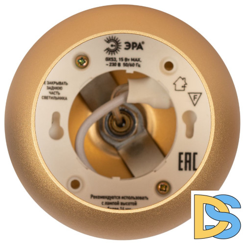 Подвесной светильник Эра PL21 GD Б0058506