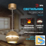 Подвесной светильник Эра PL21 GD Б0058506