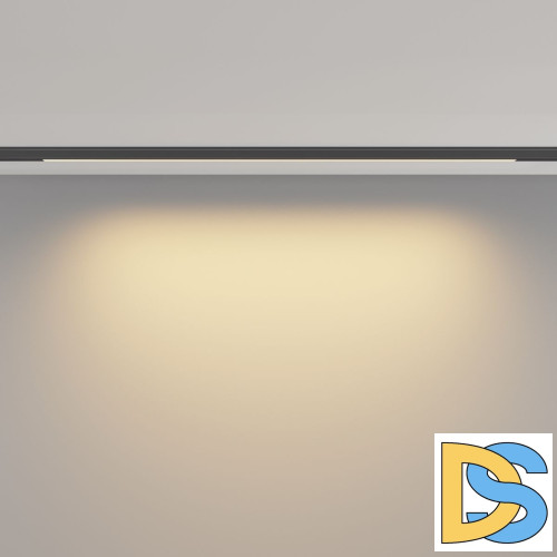 Трековый магнитный светильник Maytoni Basis TR190-1-10W2.7K-B