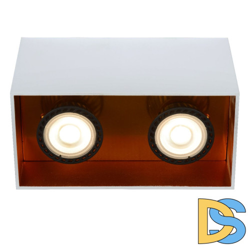 Накладной светильник Lucide Bodibis 22966/02/31