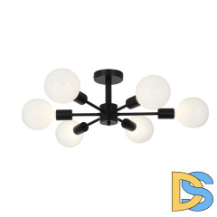 Потолочная люстра ST Luce Ano SL419.402.06