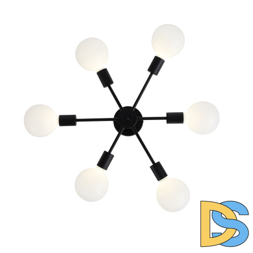 Потолочная люстра ST Luce Ano SL419.402.06