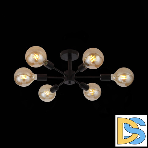 Потолочная люстра ST Luce Ano SL419.402.06